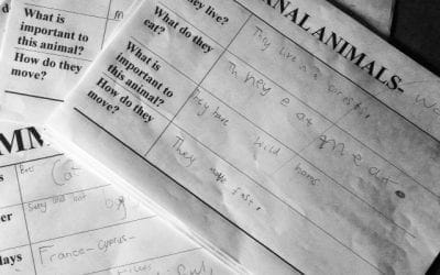 Inspiration for Year 1 and 2 topic dance courses