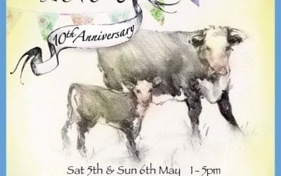 Amberley Cow Hunt.. celebrating 10 years!