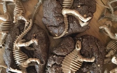 Dinosaur fans.. join the kids Dino autumn event!