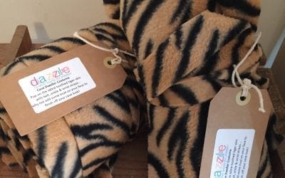 Kids Dinosaur Activity Pack back in stock!